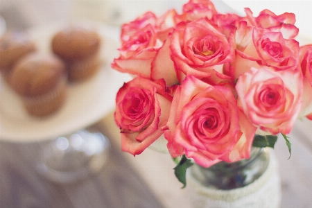 Plant flower petal bouquet Photo