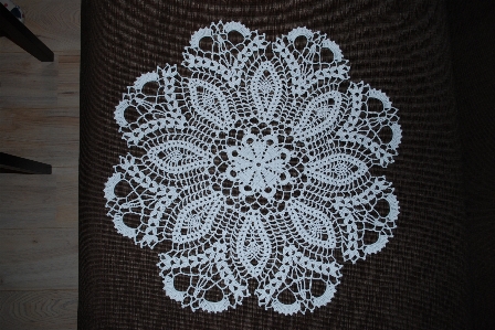 White home pattern lace Photo