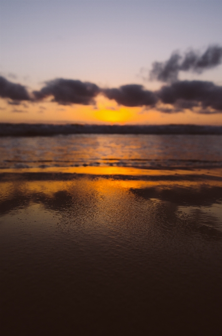 海滩 海 海岸 沙