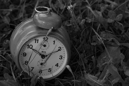 Hand nature grass black and white Photo