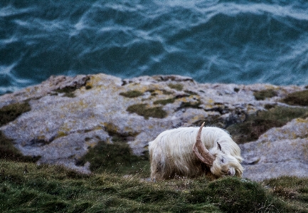 海 海岸 水 rock 写真