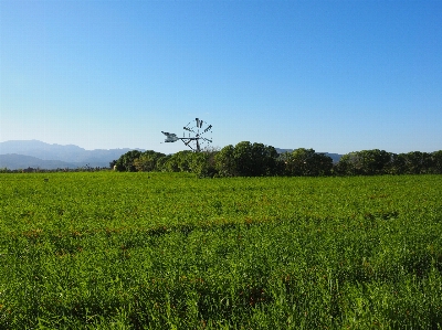 Landscape nature grass horizon Photo