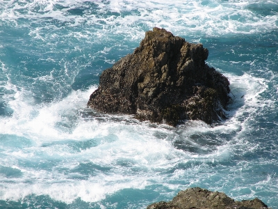 Beach sea coast water Photo