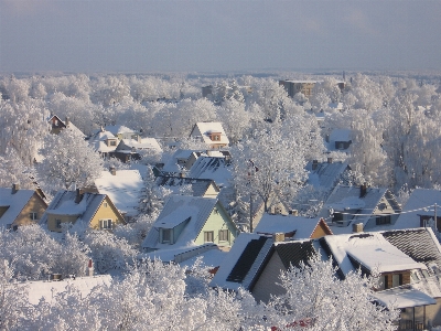 Landscape nature mountain snow Photo