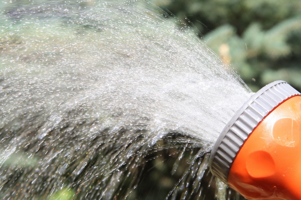 Agua naturaleza césped luz de sol