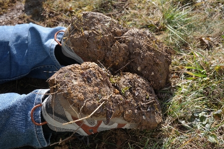 Work man wildlife dirt Photo