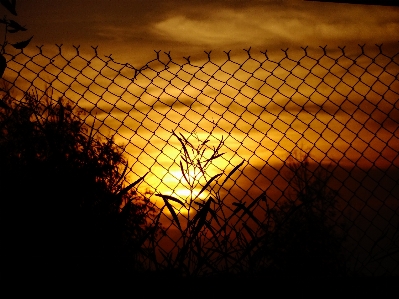 Landscape light sky sun Photo