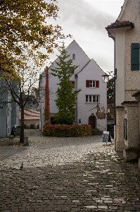 Architecture road street house Photo