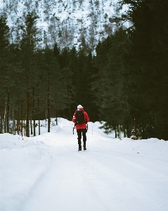 木 森 山 雪 写真