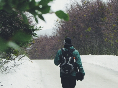 Photo Arbre marche personne neige