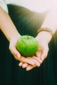 Hand apple plant woman Photo