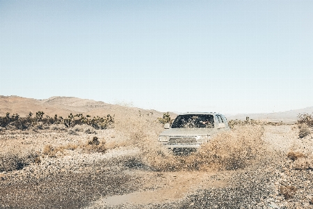 Landscape sand rock desert Photo