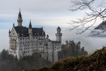 Mist building chateau palace Photo