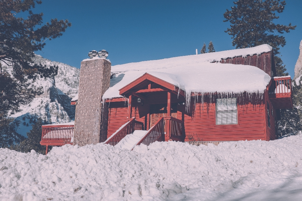 森林 山 雪 冬天