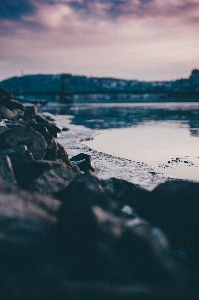 海 海岸 水 rock 写真