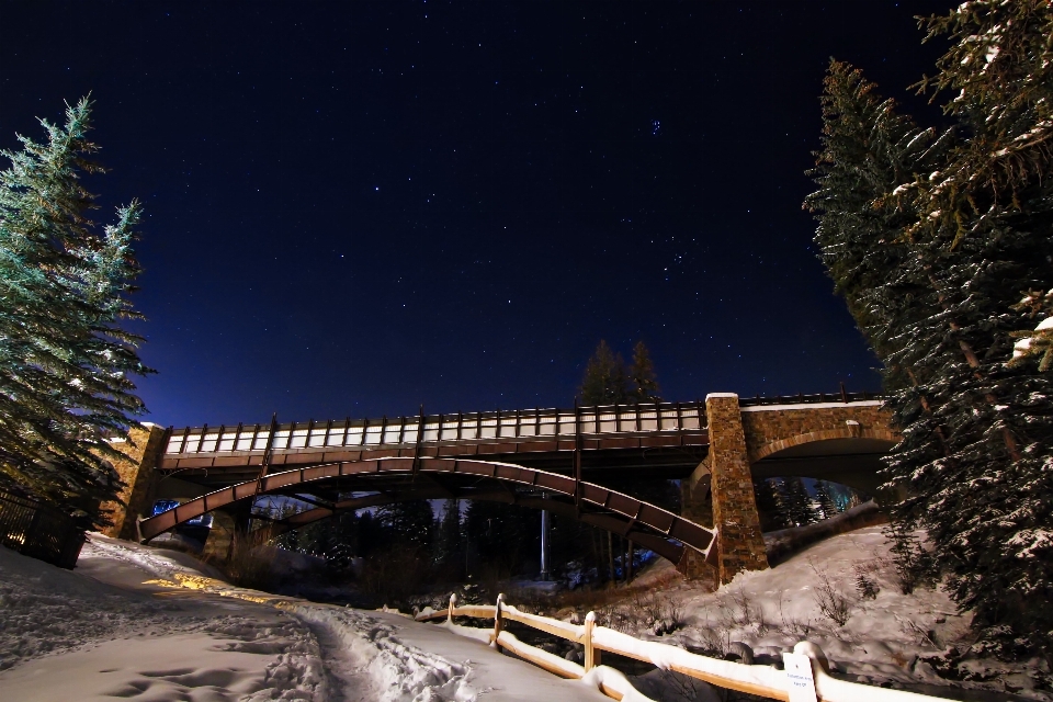 Tree snow winter bridge