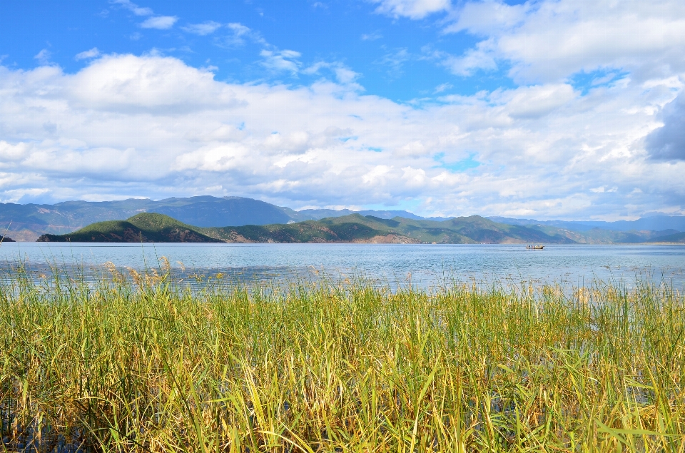 Landscape sea coast nature