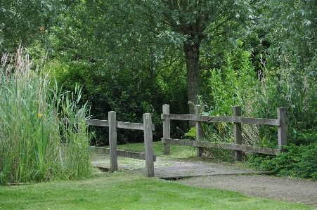 Landscape tree nature path Photo