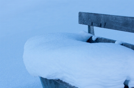 Nature snow winter white Photo