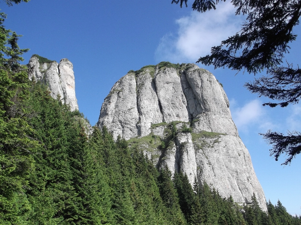 Landschaft baum natur rock