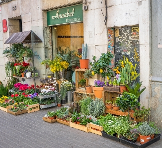 Outdoor architecture flower building Photo