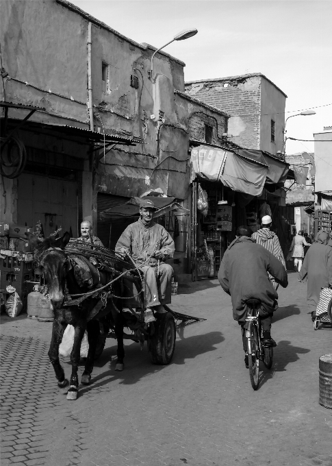 En blanco y negro
 camino calle viajar