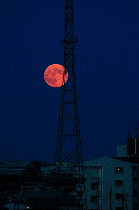 ライト 空 日没 夜