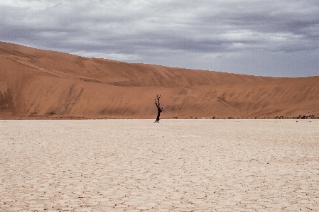 Landscape sea sand mountain Photo