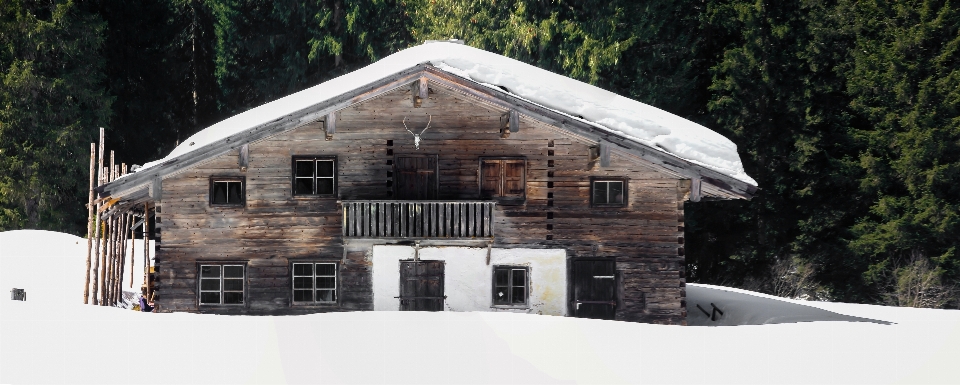 Natura nevicare freddo inverno