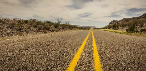 Landscape grass horizon wilderness Photo