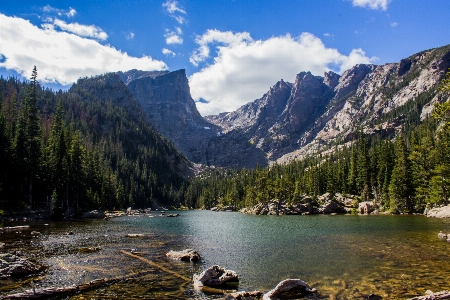 Landscape water nature forest Photo