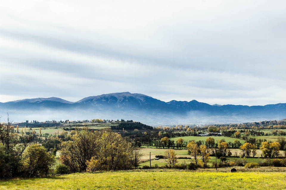 Paysage nature extérieur horizon