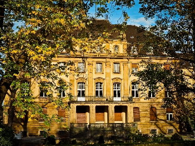 Tree architecture mansion house Photo