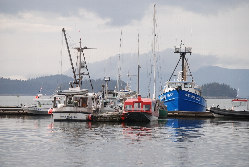 Meer küste dock boot