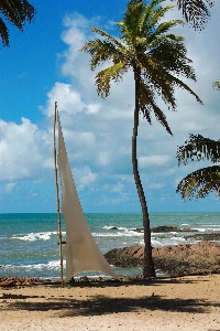 Photo Plage paysage mer côte