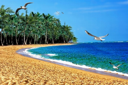 Beach landscape sea coast Photo