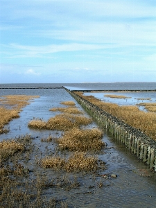 Beach landscape sea coast Photo