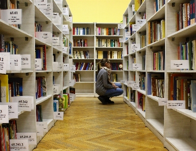 Girl building reading collection Photo