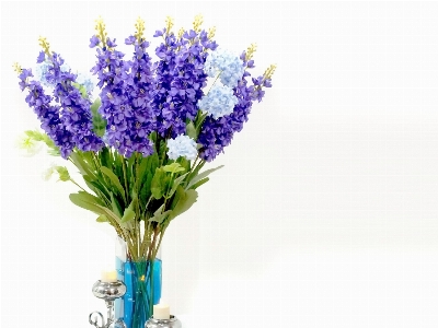 Plant flower purple bouquet Photo