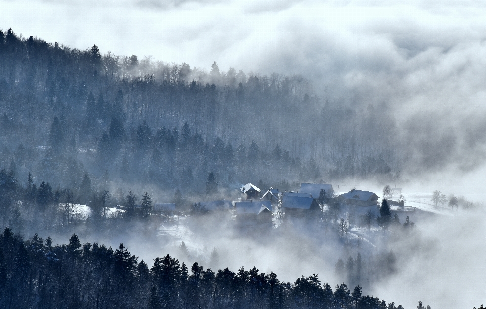 Wald berg schnee winter