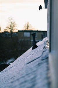 Photo Eau neige hiver lumière