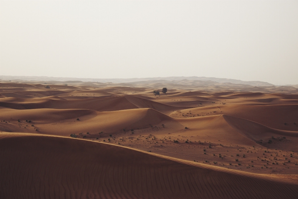 Landscape sand arid desert