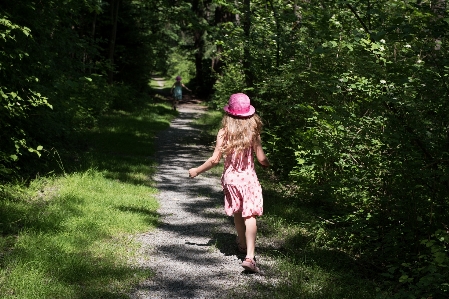 Tree forest walking person Photo