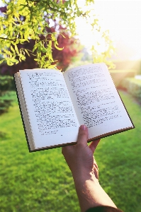 Hand book read sunset Photo