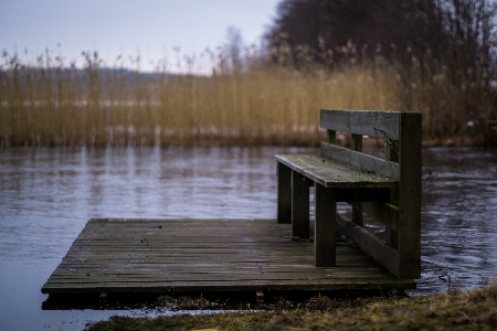 Landscape water nature grass Photo