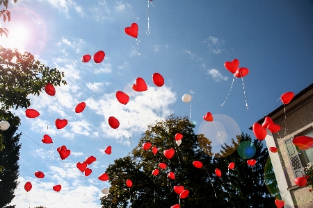 Foto Pohon langit balon terbang