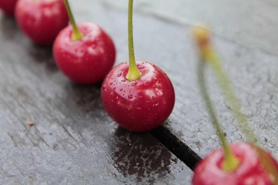 Apple plantar fruta flor