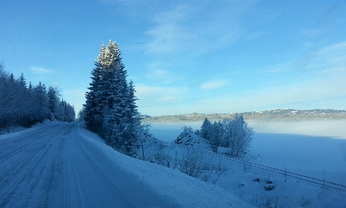 Landschaft baum wildnis
 berg Foto