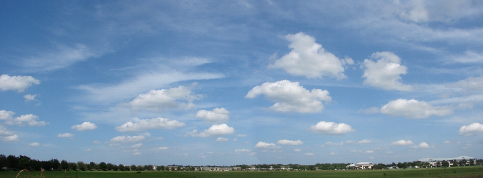 Grass horizon cloud sky