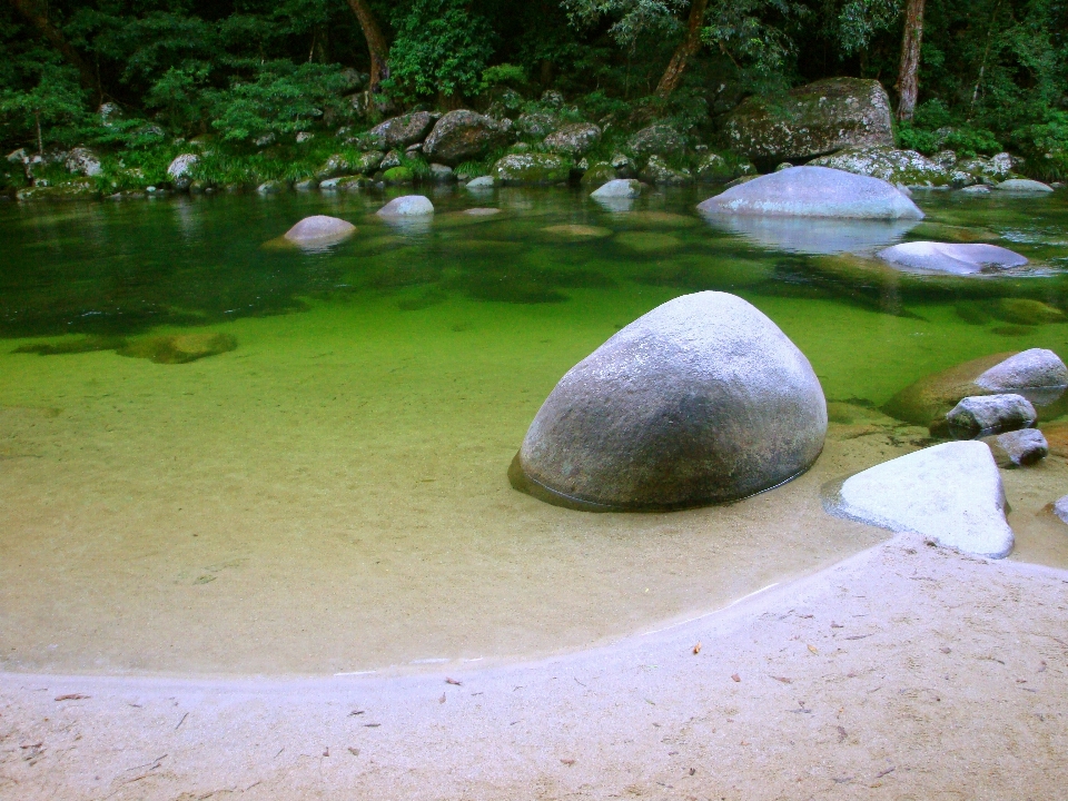 景观 水 自然 森林